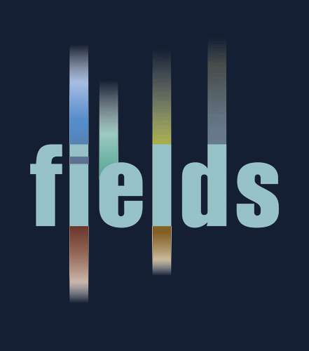 Deuxième réunion de partenariat virtuel FIELDS