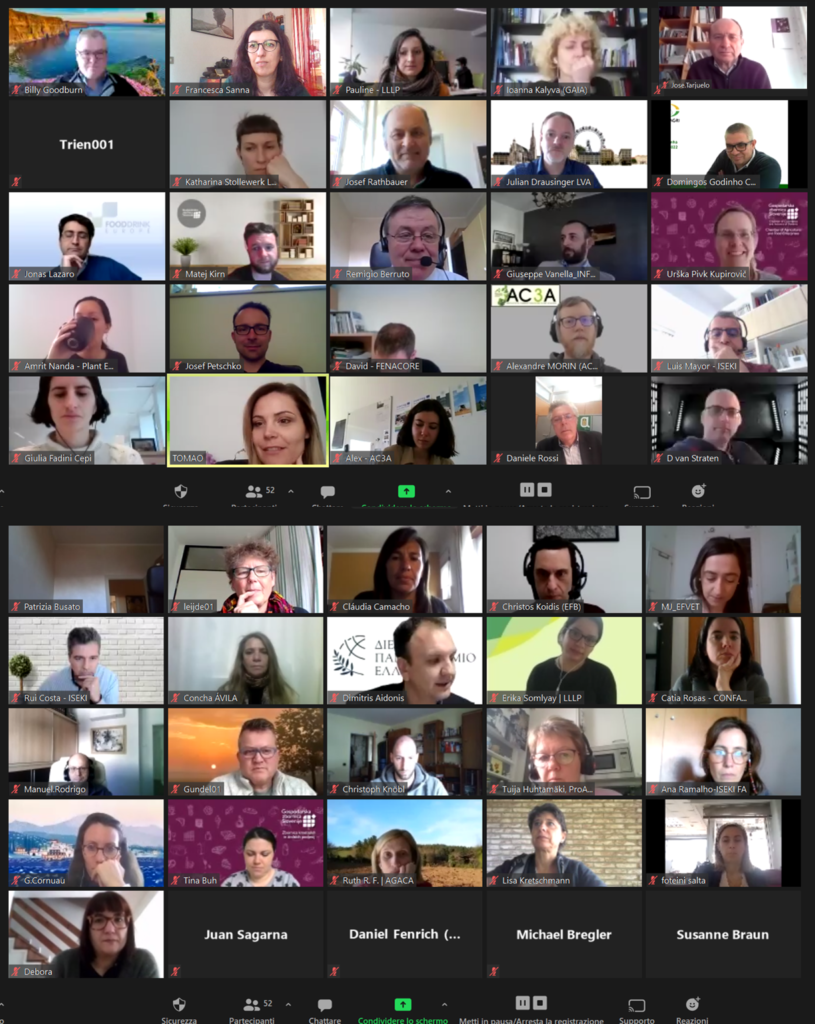 4th Virtual Partnering meeting